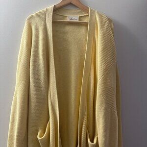 Aritzia Cardigan (Size M)